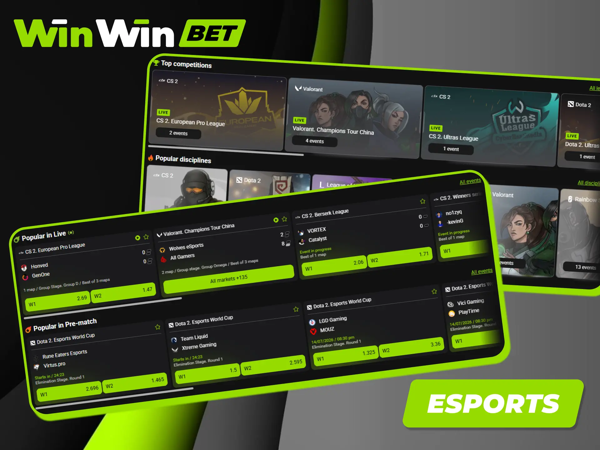 Bet on esports tournaments with the best video game odds at Winwin.